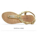 Lady Fashion Shoe Casual Woman Sandal Shoe Wholesale